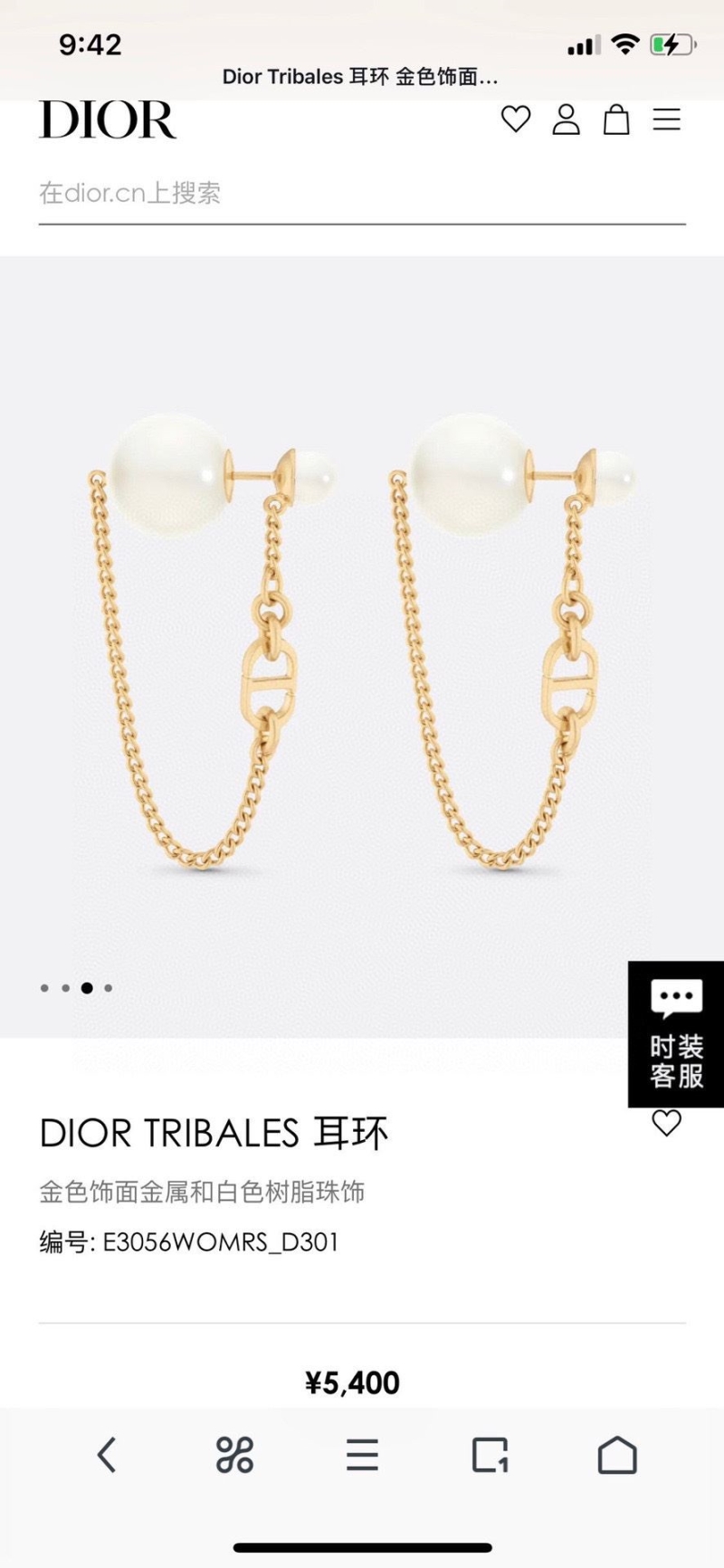 Christian Dior Earrings